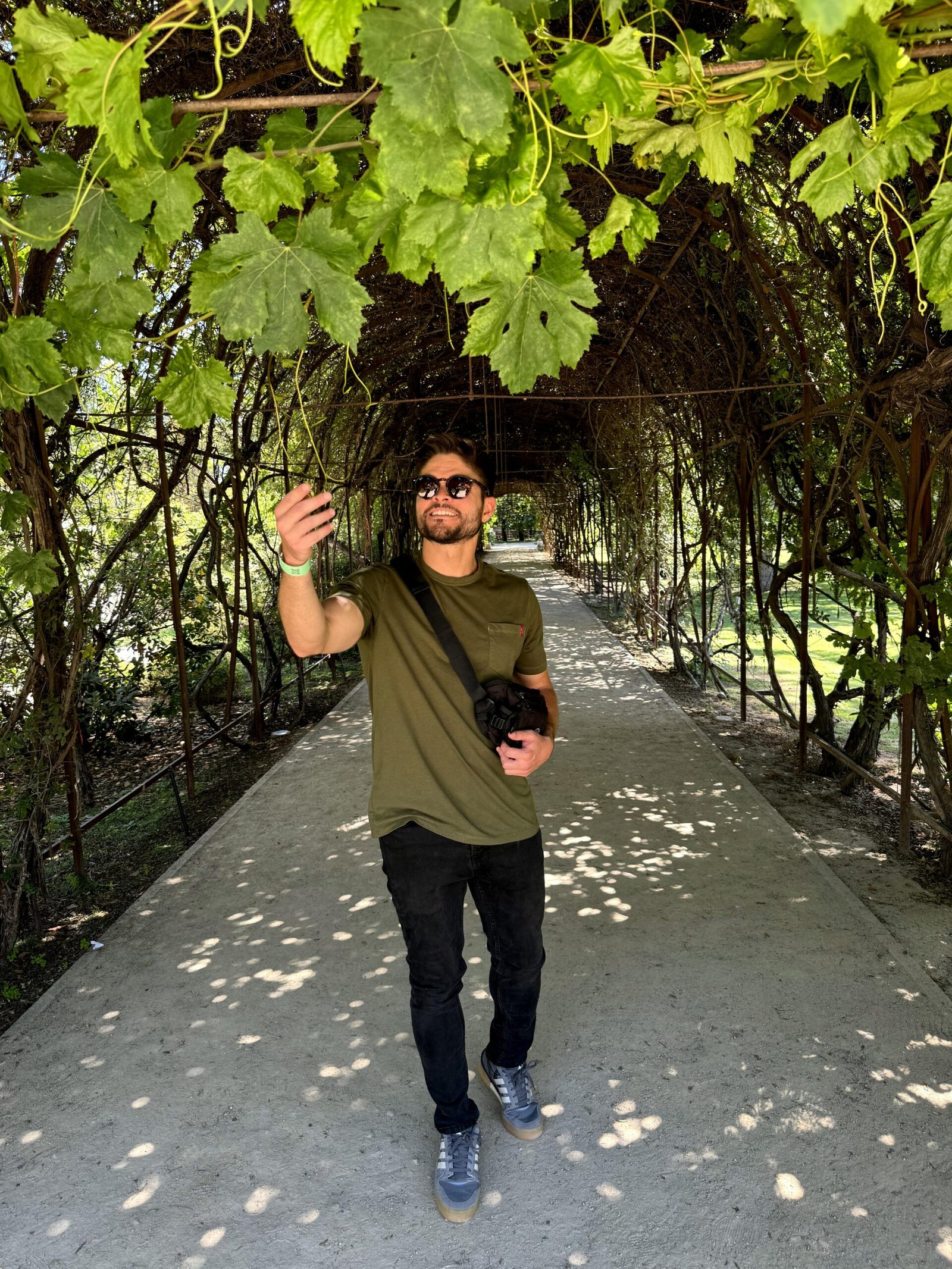 Concha y Toro (Premium)