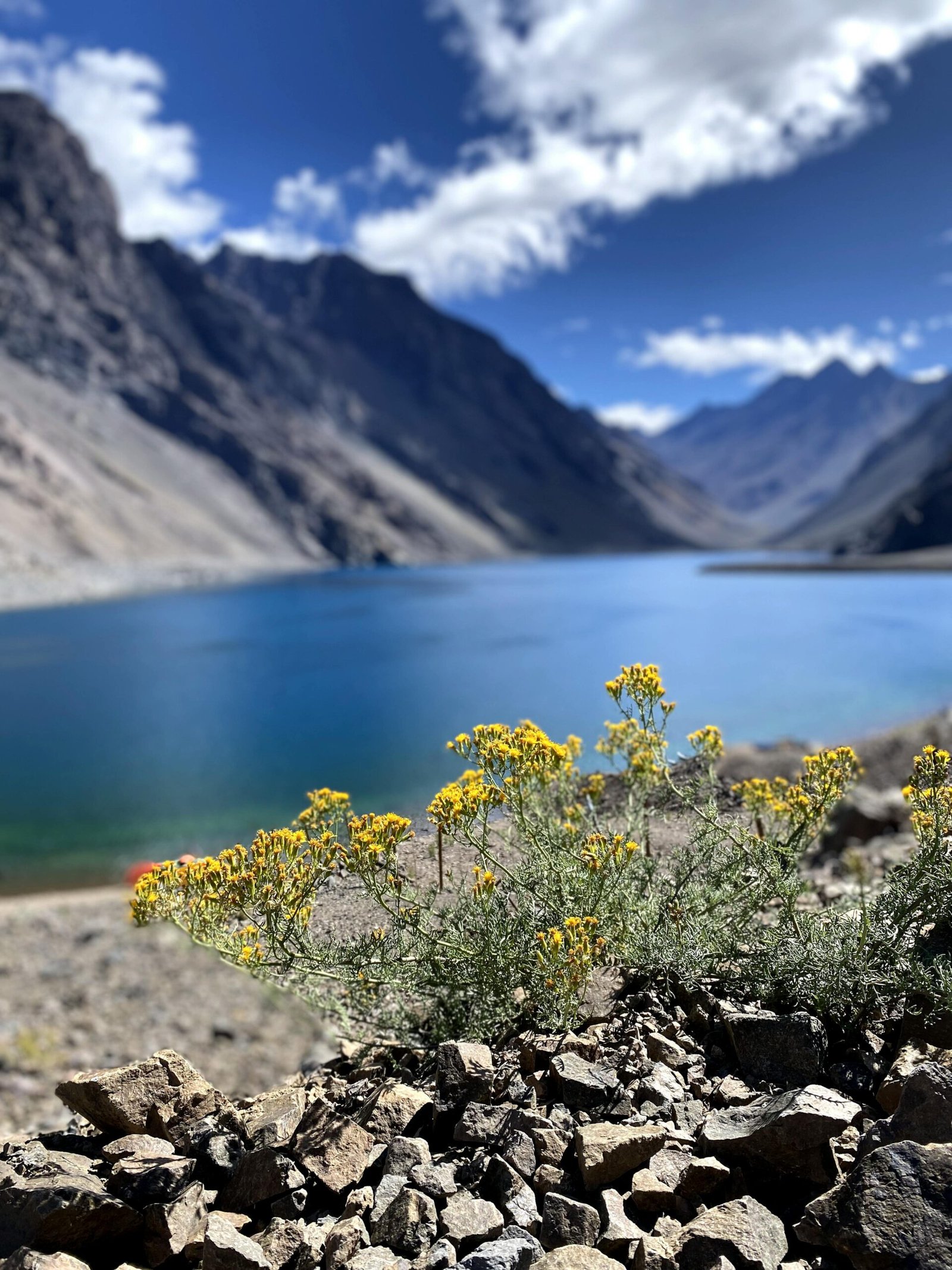 Portillo & Laguna Del Inca